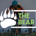 the bear (1)